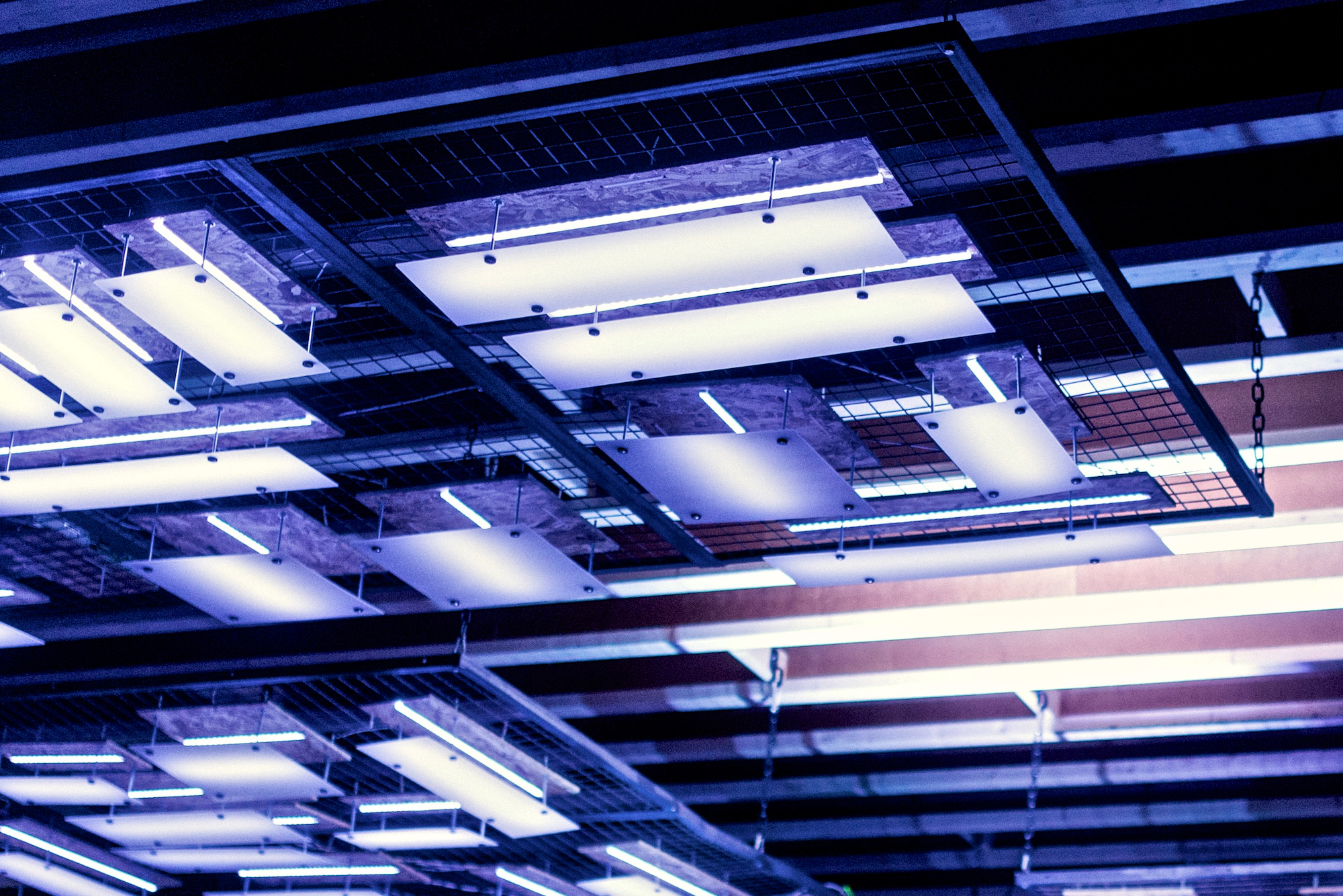 Mimic Light Installation